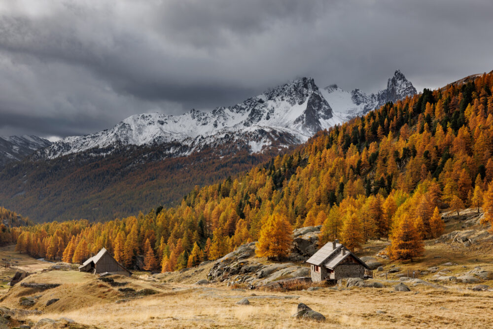 La haute vallée de la Clarée en automne, avec des chalets, de la neige sur les montagnes et les mélèzes rouges.