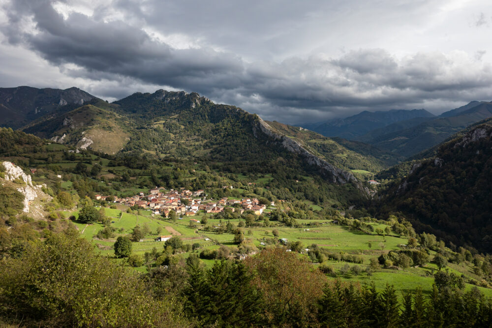 Pelugano